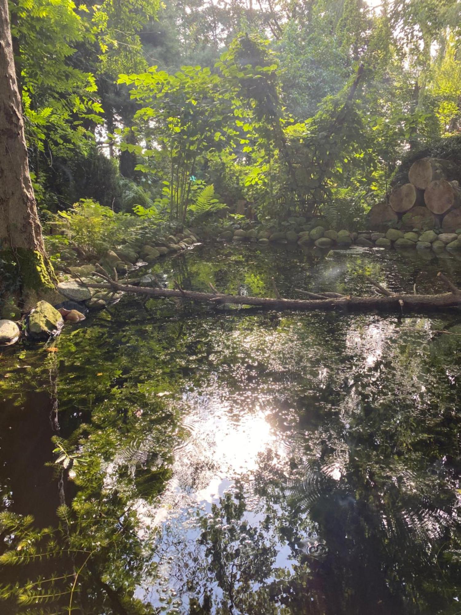 Ferienwohnung Auf Einem Resthof Zentral Gelegen Mit Viel Natur Und Tieren Rendswuhren Buitenkant foto